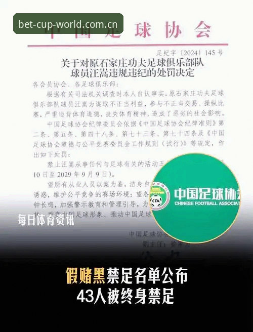 中国足坛反腐风暴：从禁足名单看足球治理的实用知识